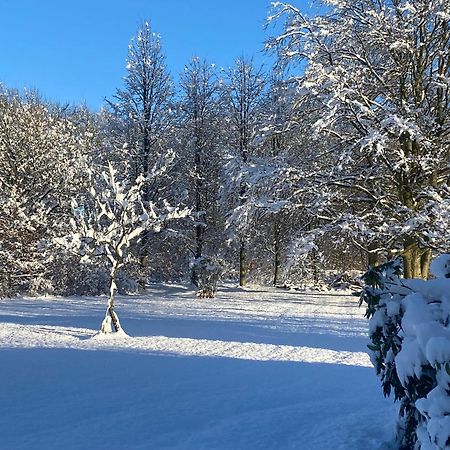 Skont Hus Pa Landet Taet Pa Billund Give Exterior foto