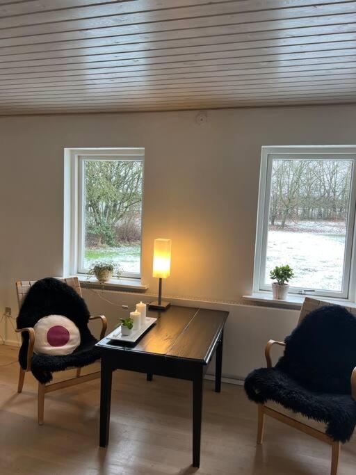 Skont Hus Pa Landet Taet Pa Billund Give Exterior foto