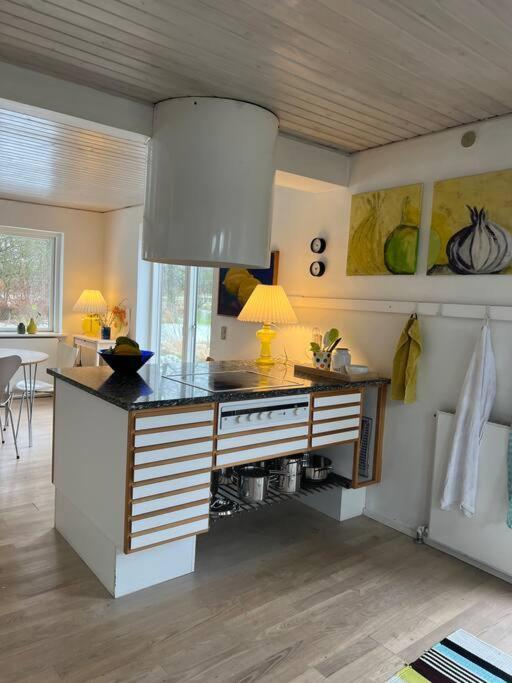 Skont Hus Pa Landet Taet Pa Billund Give Exterior foto